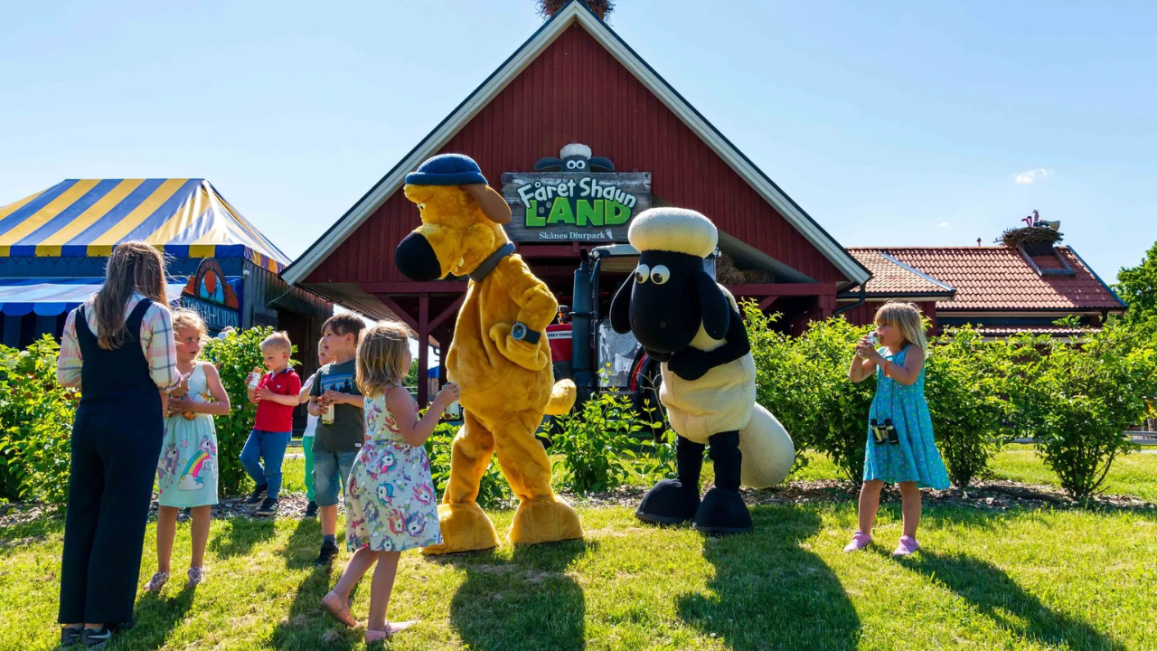 Fåret shaun skånes djurpark